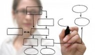 What Business Type / Vertical