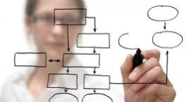 What Business Type / Vertical